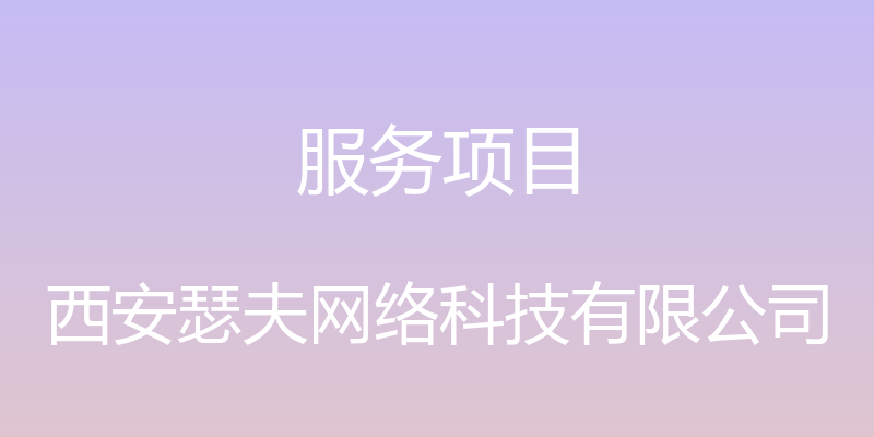 服务项目 - 西安瑟夫网络科技有限公司