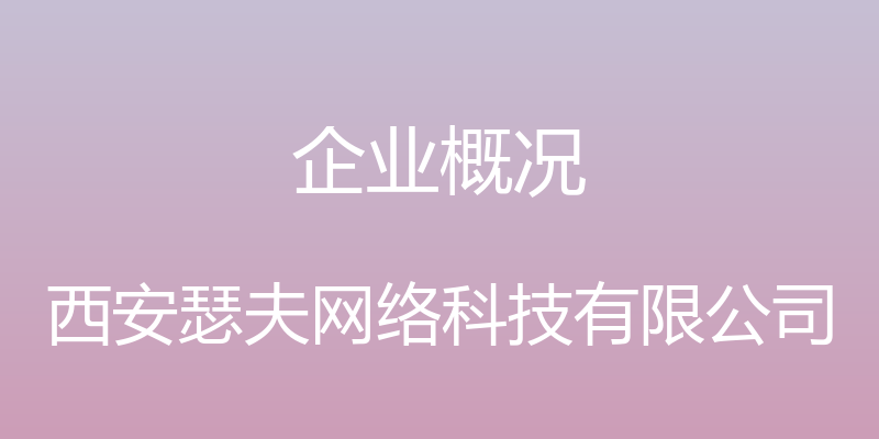 企业概况 - 西安瑟夫网络科技有限公司